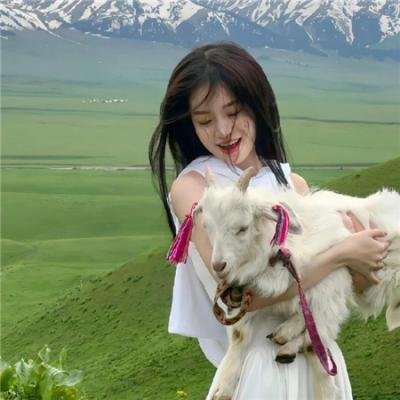 问鼎之声:球场成长日记
